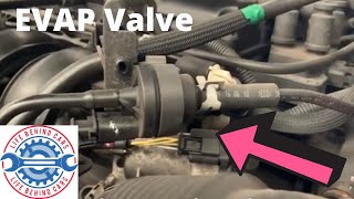 Ford Fiesta EVAP Purge Valve Location