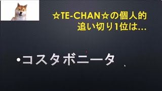 【クイーンステークス2023】最終追い切り評価！ドゥーラら有力馬の動きはどうだったのか？そして個人的追い切り1位はどの馬だ！？