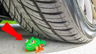 Crushing Crunchy & Soft Things by Car! - EXPERIMENT: ANIMALS VS CAR
