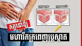 ប្រូស្តាត​ Prostate និង ជំងឺមហារីកក្រពេញប្រូស្តាត , Prostate Cancer