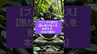 【ブッダの教え・愚か者が他人を批判する本当の理由】💚 #ブッダ #仏教 #ブッダの教え#ブッダの言葉  #shorts