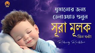 রাতে ঘুমানোর আগে একবার তেলাওয়াত শুনুন || Night time Quran tilawat -ঘুমানোর আগে দাঁড়িয়ে পড়ুন!