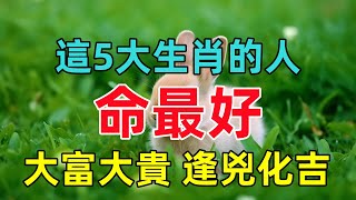 這5大生肖的人命最好，一生大富大貴，逢兇化吉！