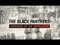 Black Panthers: Vanguard of The Revolution