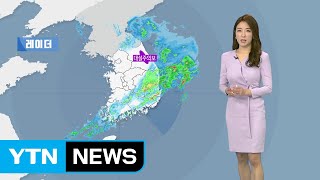 [날씨] 요란한 봄비...비 내리며 쌀쌀, 강원 산간 눈 / YTN