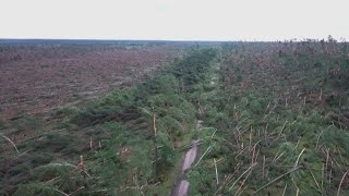 Five dead as freak storms ravage Poland