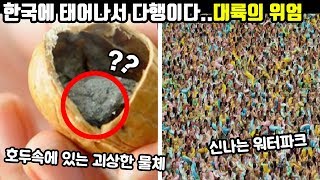 호두에 들어있는 것은 무엇일까 흔하지 않은 대륙의 위엄