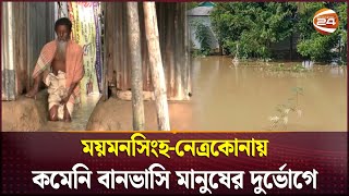 ময়মনসিংহ-নেত্রকোনায় কমেনি বানভাসি মানুষের দুর্ভোগে | Mymensingh flood | Channel 24