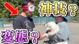 犬の前足だけしかさわらずに個体識別できる神業変態