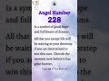 angel number 228 law of attraction manifestation shorts