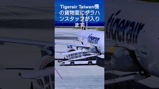 【ショートグラハン動画】🌻Tigerair Taiwan機の貨物室に、、、いつもグランドハンドリングありがとうございます！Thank you for always ground handling!