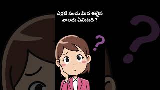 ఎర్రటి పండు మీద ఈగైన వాలదు ఏమిటది - riddles in telugu