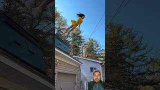 #bellyflop #trampoline #flip #backflip #gospellyircs #shortsviral