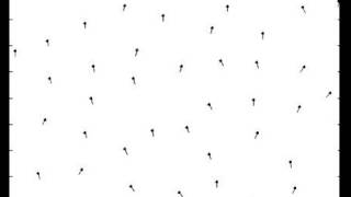 Flocking: Repulsion and alignment