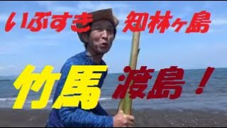 【鹿児島ニュース】無人島へ竹馬で渡島チャレンジ！　（Ⅱ）（いぶすき・知林ヶ島）