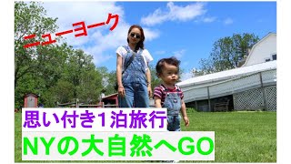 ニューヨーク生活Vlog フリーランス家族のぶらり旅ニューヨークの大自然UPSTATEで牧場とワイナリー見学　海外生活　アメリカ生活　海外育児  Japanese mom in NYC