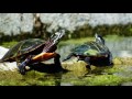 kayak nj allamuchy pond 091715