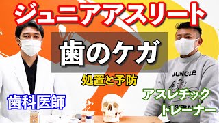 知りたい知識【どうする？歯のケガをした時】