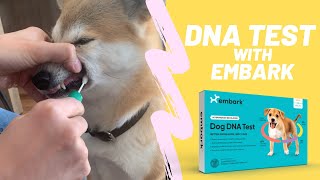 【REVIEW】Dog DNA Test with Embark