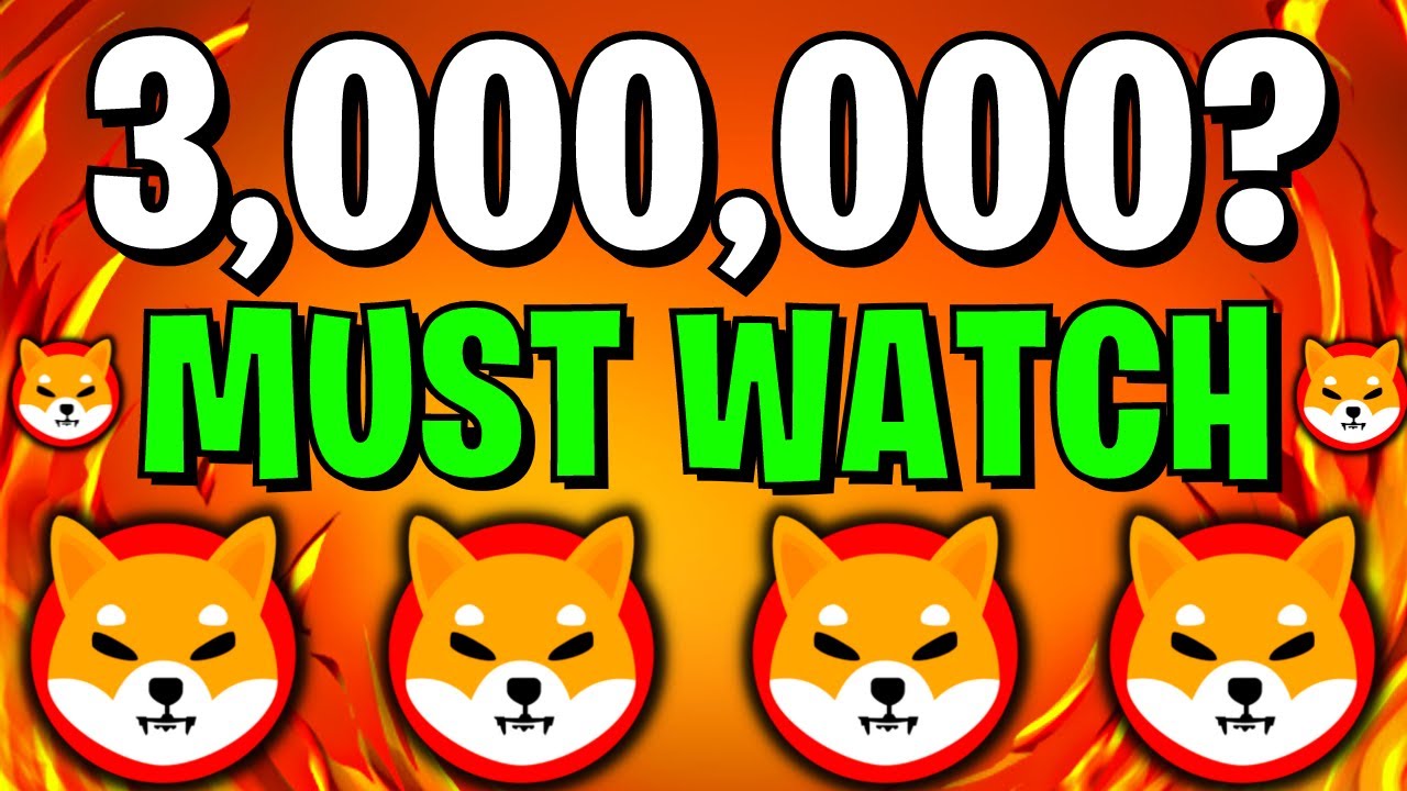 SHIBA INU COIN NEWS TODAY: IF YOU HOLD 3,000,000 SHIB YOU MUST SEE THIS ...