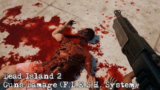 Dead Island 2 - Guns Damage (F.L.E.S.H. System)