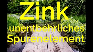 Zink, unverzichtbar zur Körperentgiftung! Informationen von Dr. med. Manfred Doepp.