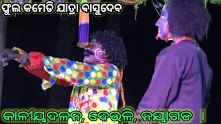 କାଳୀୟଦଳନ || ଦେଉଳି || Jatra Basudev || Deuli kaliya Dalan || Odia Culture || Krishna Leela ||