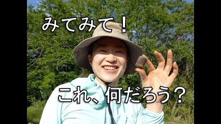 曽遺遺跡発掘の様子NO４「出土物たち①」（磨製石斧？玦状耳飾、補修孔、今回の目玉）