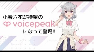 Rikka goes to VOICEPEAK! [Test \u0026 Information]