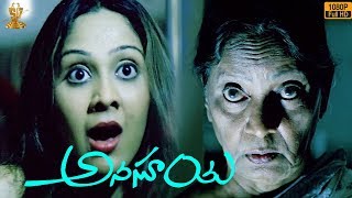 Anasuya Telugu Movie Scene Full HD || Bhumika Chawla || Ravi Babu || Suresh Productions