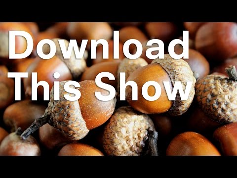 Micro investing app Acorns | Download this show