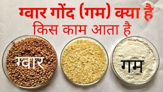 ग्वार गोंद क्या है इसका क्या प्रयोग है क्या ग्वार के भाव बढ़ेगा #ग्वार #farmer #farmers #agriculture