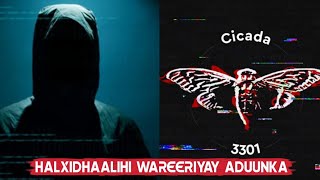 Cicada|Halxidhaalihii wareeriyay aduunka hacherska iyo khubarada