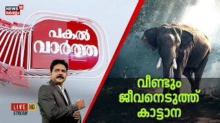 🔴Pakal Vartha LIVE | വീണ്ടും ജീവനെടുത്ത് കാട്ടാന |Another killed In Wild Elephant Attack In Thrissur