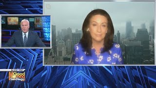 NY Post columnist Miranda Devine says the Hunter Biden emails are real