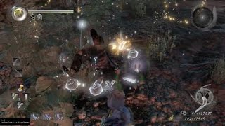 Nioh 인왕 [일도, 이도] 콤보 2