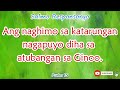 22nd Sunday in Ordinary Time Yr. B || Responsorial Psalm 15 Ang naghimo sa katarungan nagapuyo