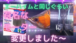 【紅龍】水中ポンプを交換しました＾＾＃アジアアロワナ＃熱帯魚＃エーハイム＃カミハタrio3100＃アクアリウム