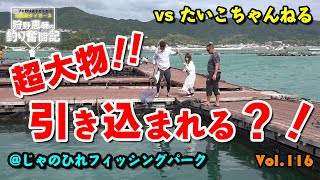 【超大物とファイト】たいこちゃんねるメンバーと釣り対決！阪神タイガースOB 狩野恵輔の釣り奮闘記 Vol 116