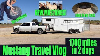 Mustang Travel Vlog | 1700 miles in 2 days!