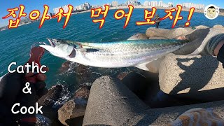 잡아서 먹어보자! 제4화 [삼치]