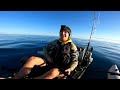 fishing offshore for a rare giant