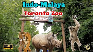 Toronto Zoo Indo-Malaya 4K Walking Tour | Toronto, Ontario | Travel Canada