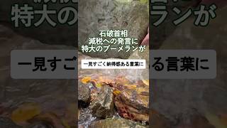 石破首相の減税発言に批判殺到！ネットの反応を挙げて語るVOICEVOX:もち子(cv 明日葉よもぎ) #政治 #自民党 #増税 #減税 #石破