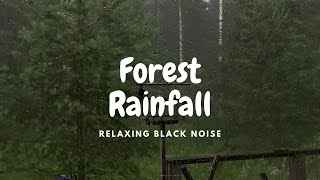 Forest rain sounds for sleeping