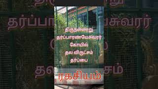 திருநள்ளாறு தல விருட்சம் தர்ப்பை  ரகசியம்| Thirunallar Sthala Viruksham || #thirunallar