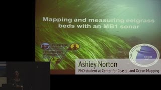 Mapping and measuring eelgrass beds with an MB1 sonar