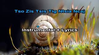 Tso Zig Tig Tsis Ncaj Karaoke