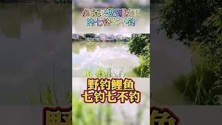 野钓鲤鱼七钓七不钓，看完你就知道怎么钓鲤鱼了