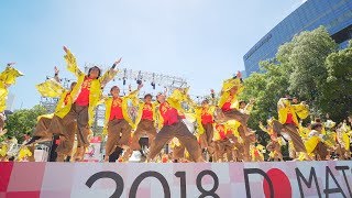 [4K] 北海道大学\